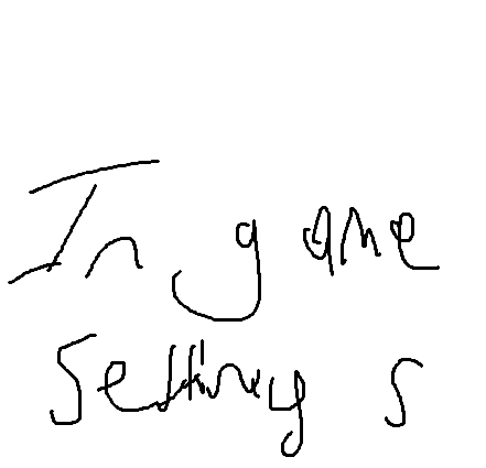 INGAME SETTINGS